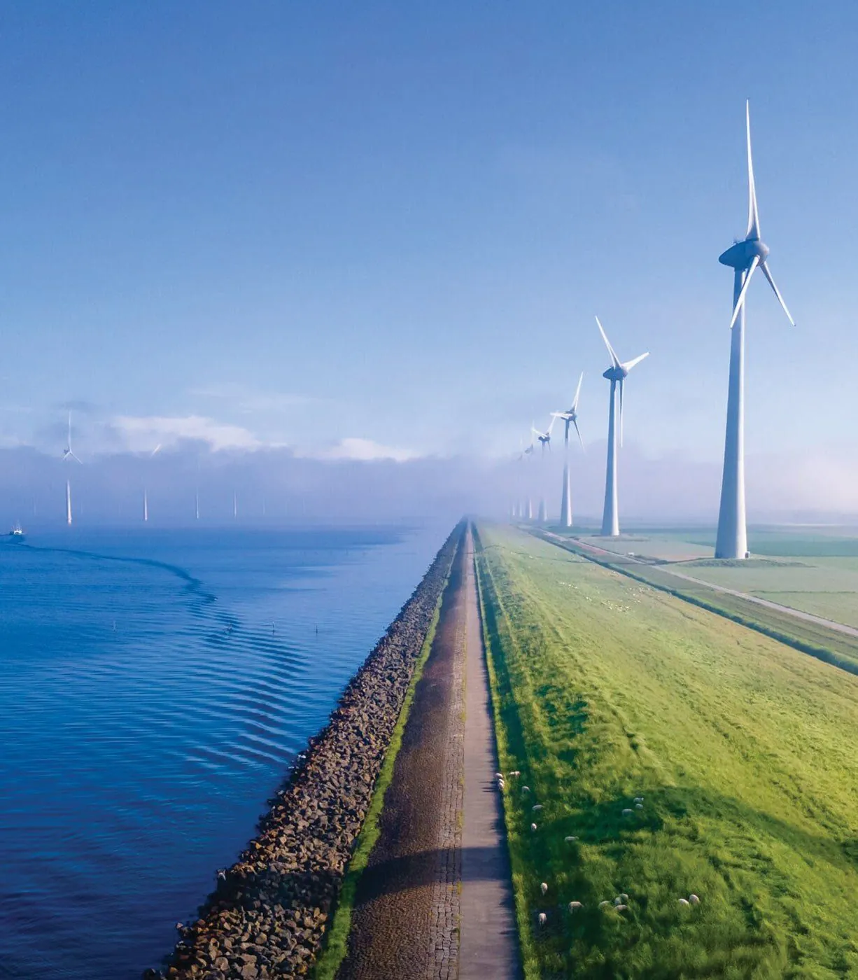 Sustainability at Backer